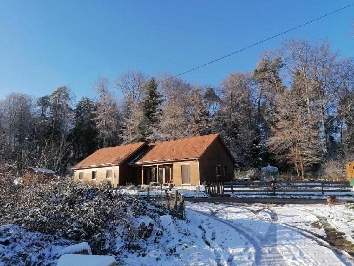 Vosges Chambres D'Hotes Jeanmenil エクステリア 写真